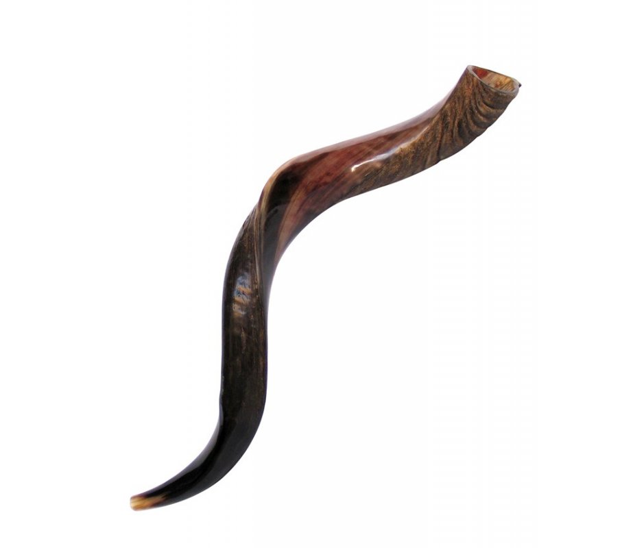 Medium Yemenite Shofar Half Polished Half Natural 29