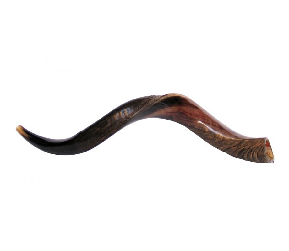 Medium Yemenite Shofar Half Polished Half Natural 29