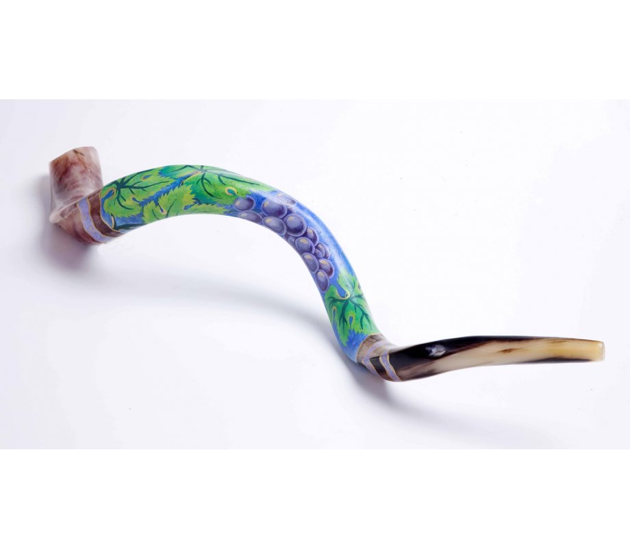 Purple Grapevine Collectors Hand Painted Yemenite Shofar