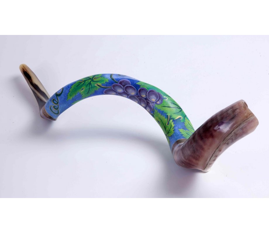 Purple Grapevine Collectors Hand Painted Yemenite Shofar