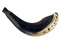 Ram's Horn Shofar Moroccan Style Dark Color with Crown Cut 13