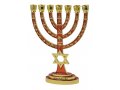 Seven Branch Menorah, Gold with Red Enamel Judaic Symbols and Star of David - 9.5”