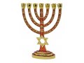 Seven Branch Menorah, Gold with Red Enamel Judaic Symbols and Star of David - 9.5