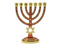 Seven Branch Menorah, Gold with Red Enamel Judaic Symbols and Star of David - 9.5