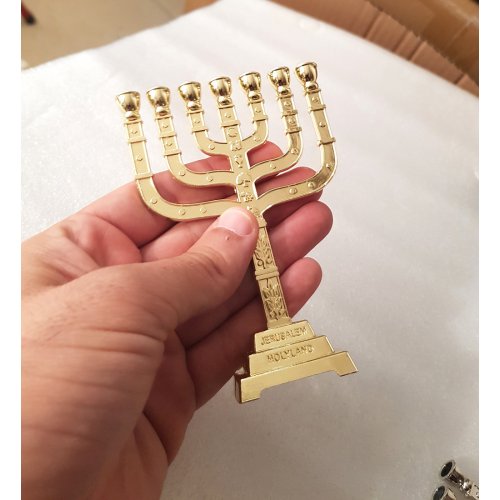 Seven Branch Miniature Menorah with Judaic Emblems, Gold - 7