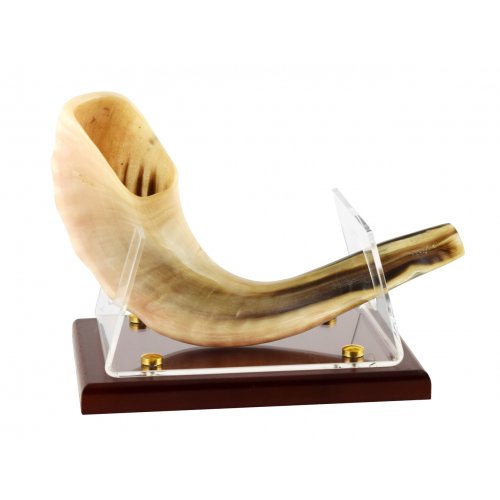 Shofar Stand for Ram's Horn Shofar - Acrylic with Wood Base