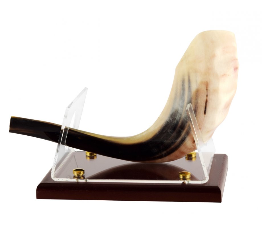 Shofar Stand for Ram's Horn Shofar - Acrylic with Wood Base
