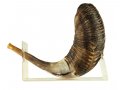 Shofar Stand of Lucite for Large Ram's Horn Shofar Length 18-23 Inches