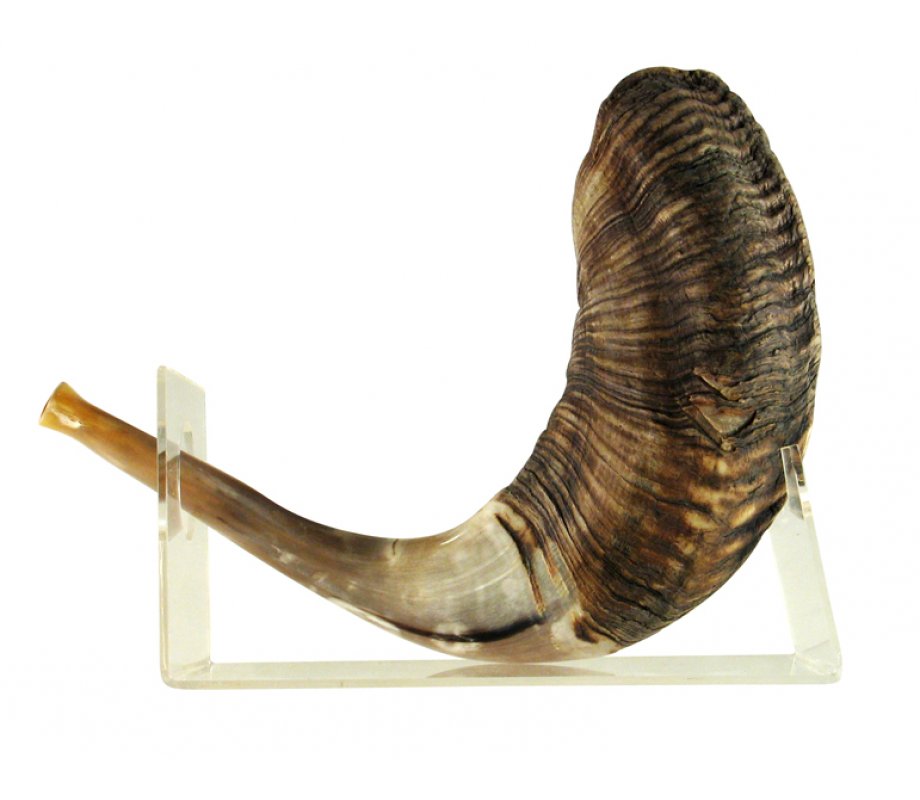 Shofar Stand of Lucite for Large Ram's Horn Shofar Length 18-23 Inches
