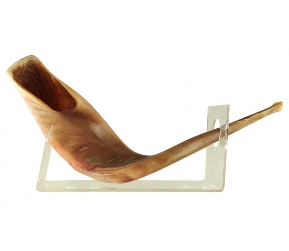 Shofar Stand of Lucite for Large Ram's Horn Shofar Length 18-23 Inches