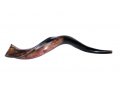 Small Polished Yemenite Shofar Kudu Horn 22