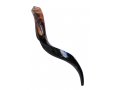 Small Polished Yemenite Shofar Kudu Horn 22