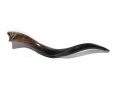 Small Polished Yemenite Shofar Kudu Horn 25