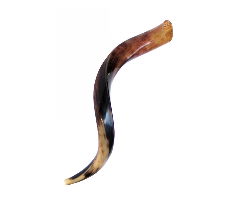 Small Polished Yemenite Shofar Kudu Horn 27