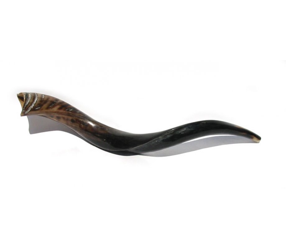 Small Polished Yemenite Shofar Kudu Horn 27