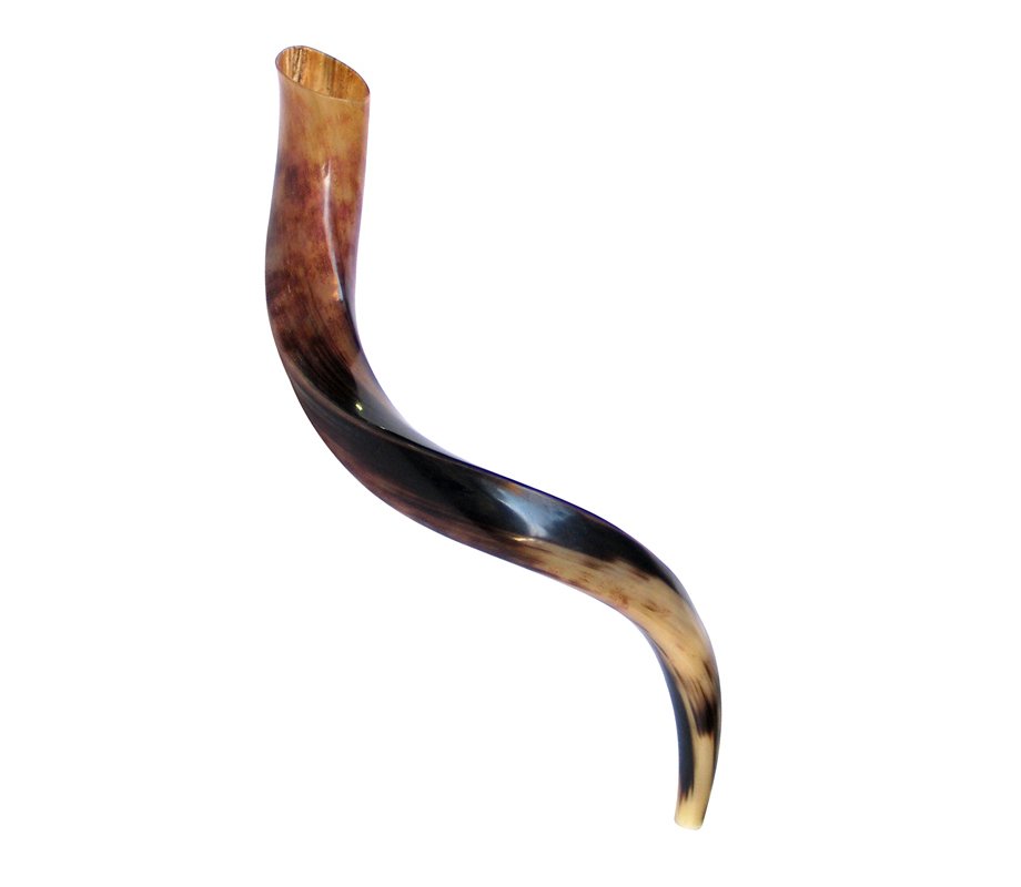 Small Polished Yemenite Shofar Kudu Horn 27