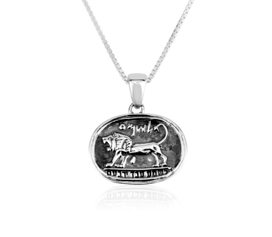 Sterling Silver Necklace and Pendant, Lion Of Judah - Black