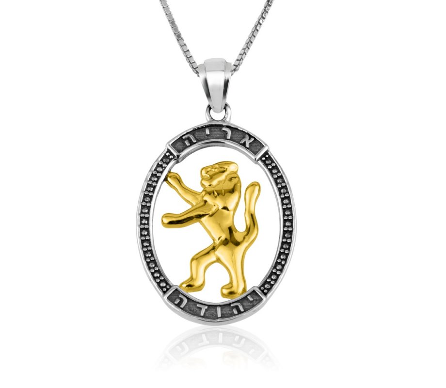 Sterling Silver Necklace and Pendant, Oval Framed 14K Gold Plated Lion Of Judah