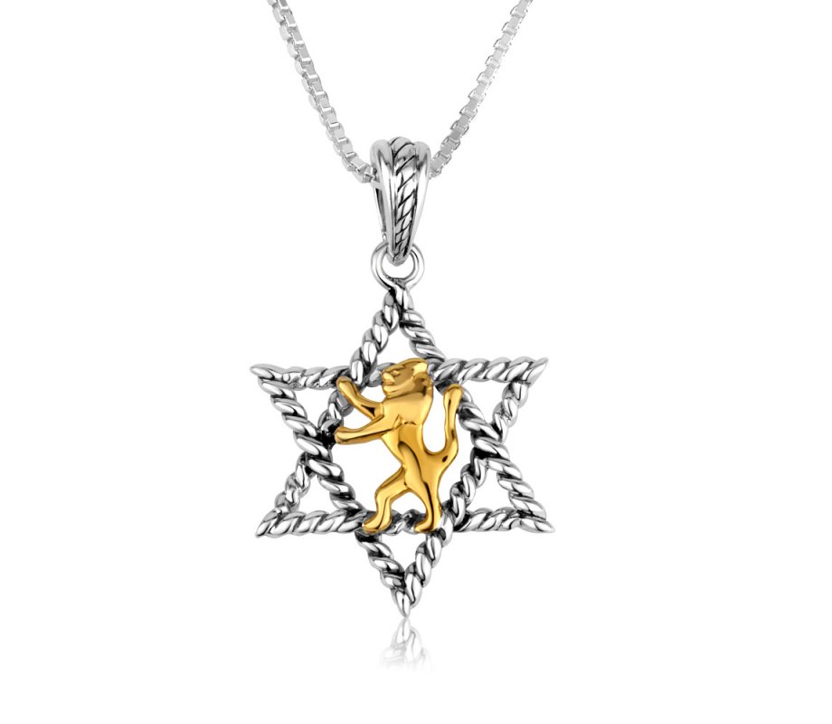 Sterling Silver Necklace with Pendant, Gold Lion Of Judah in the Star of David