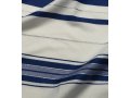 Wool Prayer Shawl with Blue and Silver Stripes - Talitania