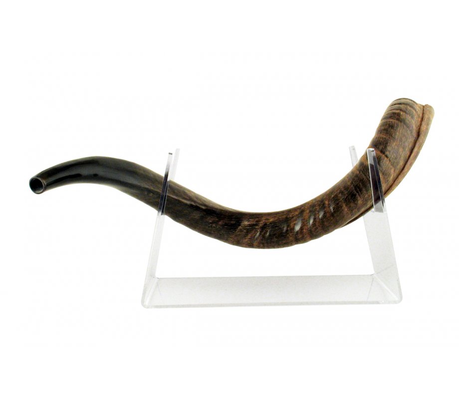 Yemenite Shofar Stand Made of Lucite - for Horns Length 22-40 Inches