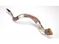 Yemenite Shofar with Silver Jerusalem Temple design